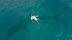 Sea Men Whales Stephen Criscolo