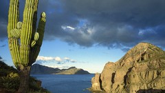 Sea Mexico California