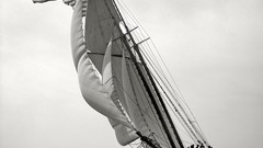 Sea monochrome historic sailing ships old photography