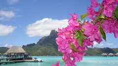 Sea Mountains clouds Hawaii Beaches huts bougainvillea