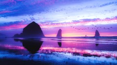 Sea Mountains Gulls silhouettes reflections Dawn Summers