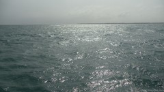 Sea nature afternoon