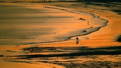 Sea nature bay Islands Beaches jersey