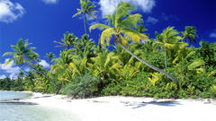 Sea nature beach blue paradise Palms lost awesome