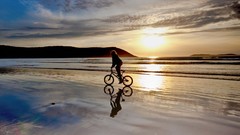 Sea nature Beaches Bicycles