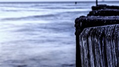 Sea nature Beaches piers The Netherlands