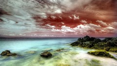 Sea nature blue red Green