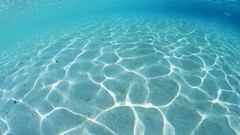 Sea nature blue underwater reflections