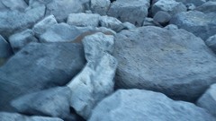 Sea nature Boats rocks