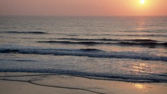 Sea nature California Beaches