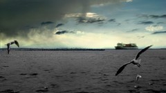 Sea nature clouds Islands seagulls