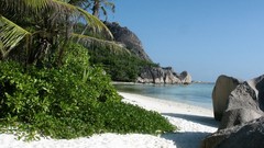 Sea nature coast Beaches lifestyle