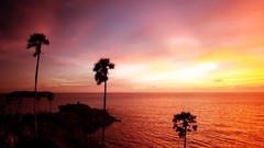 Sea nature coast Thailand palm trees