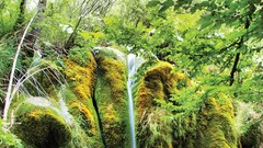 Sea nature crysis skyscapes towns