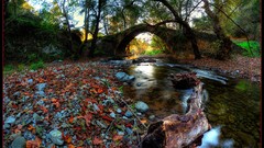 Sea nature cyprus cyprus island