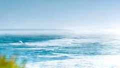 Sea nature grass ocean New Zealand waves