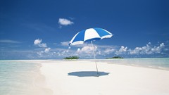 Sea nature Hawaii Beaches