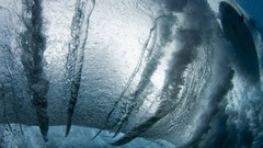 Sea nature Hawaii underwater waves national geographic 