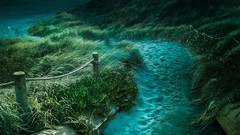 Sea nature hills Green pathway Beaches