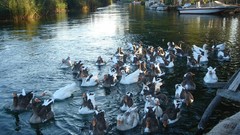 Sea nature Holidays Turkey 2007 Mugla Marmaris Akyaka Gokova