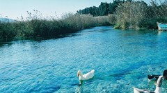 Sea nature Holidays Turkey Mugla Marmaris Akyaka Gokova