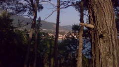 Sea nature Holidays Turkey Mugla Marmaris Akyaka Gokova