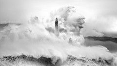 Sea nature monochrome