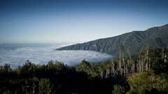 Sea nature Mountains