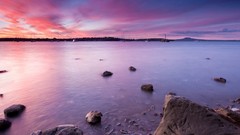 Sea nature New Zealand Auckland rocks