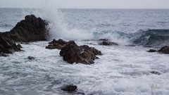 Sea nature ocean Beaches