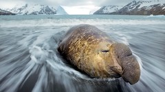 Sea nature ocean rocks Beaches