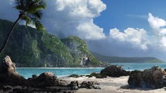 Sea nature palm trees Beaches