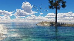 Sea nature palm trees seagulls Tyler Young