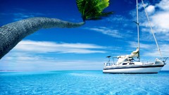 Sea nature ships palm trees