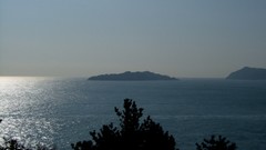 Sea nature south korea