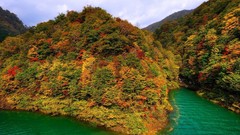 Sea nature Trees Japan lakes akita mountaineers