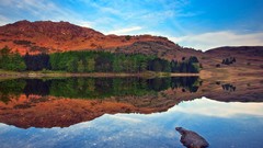 Sea nature Trees Mountains forests