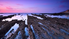 Sea nature Trees water Beaches