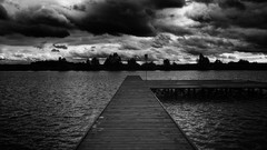 Sea nature Trees water black and white lakes skies brew