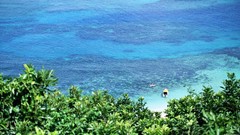 Sea nature wall Beaches