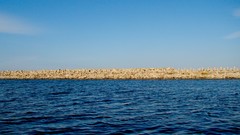 Sea nature water blue skies blue skies