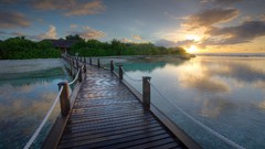 Sea nature water Bridges