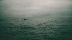 Sea nature water clouds waterscapes