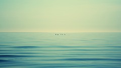 Sea nature water ocean empty nothing