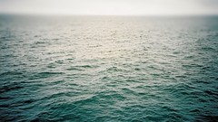 Sea nature water ocean Green