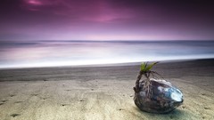 Sea nature water purple rocks