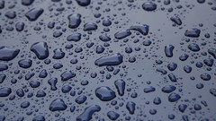 Sea nature water water drops window panes