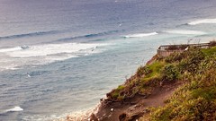 Sea New Zealand Wooden fence Beaches shrubs seagulls