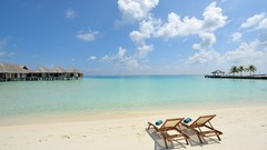 Sea ocean chairs palm trees Beaches beach house