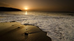 Sea ocean coast Seaside Beaches